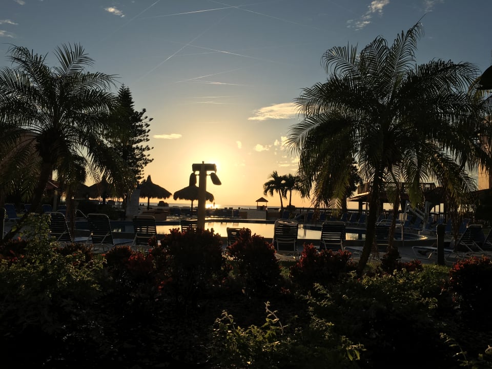 Gartenanlage Hotel Dolphin Beach Resort