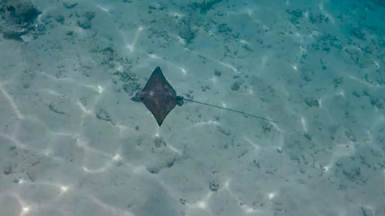 Hausriff  Kuredu Island Resort & Spa