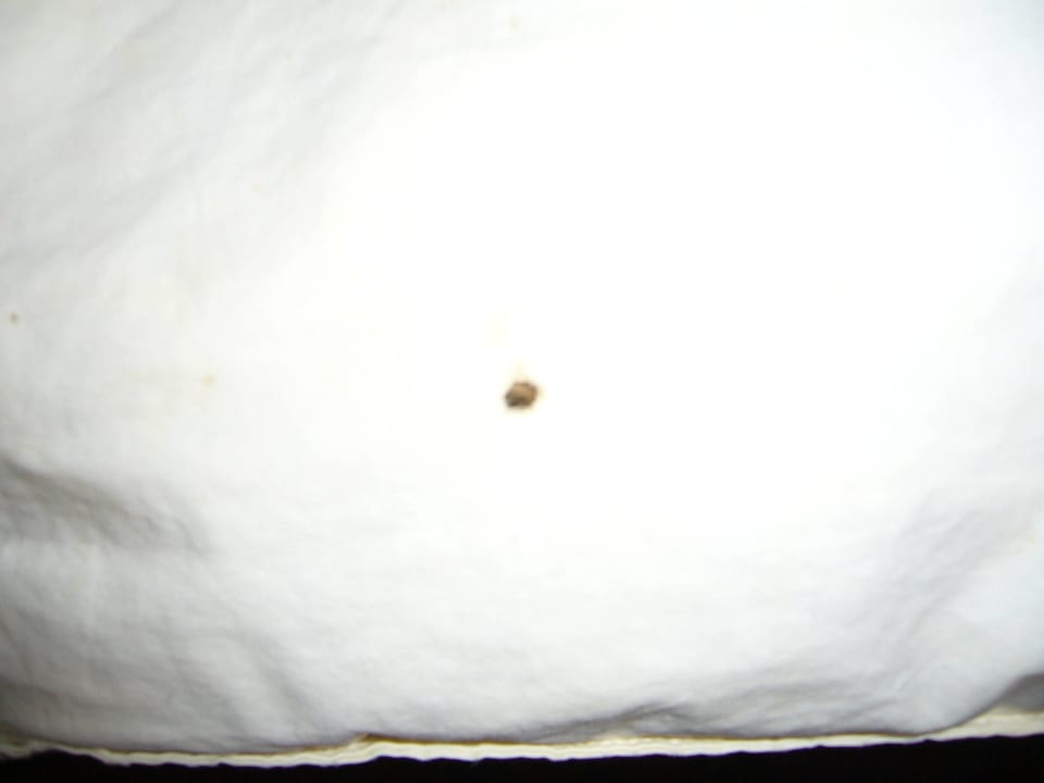 Inlett - sehr ekelig Leonardo Hotel Mannheim City Center