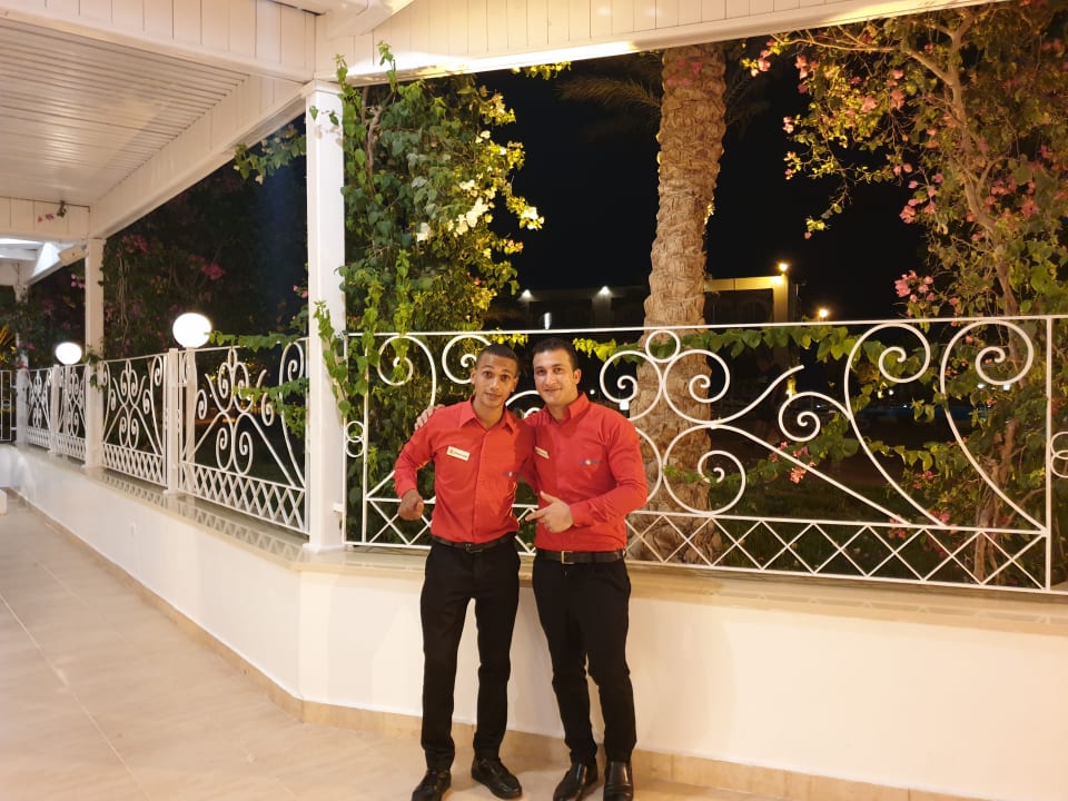 Sonstiges Desert Rose