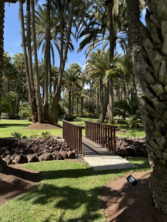 Gartenanlage Hotel Riu Palace Oasis