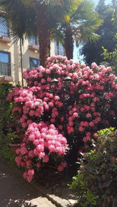 Außenansicht Hotel Bommersheim