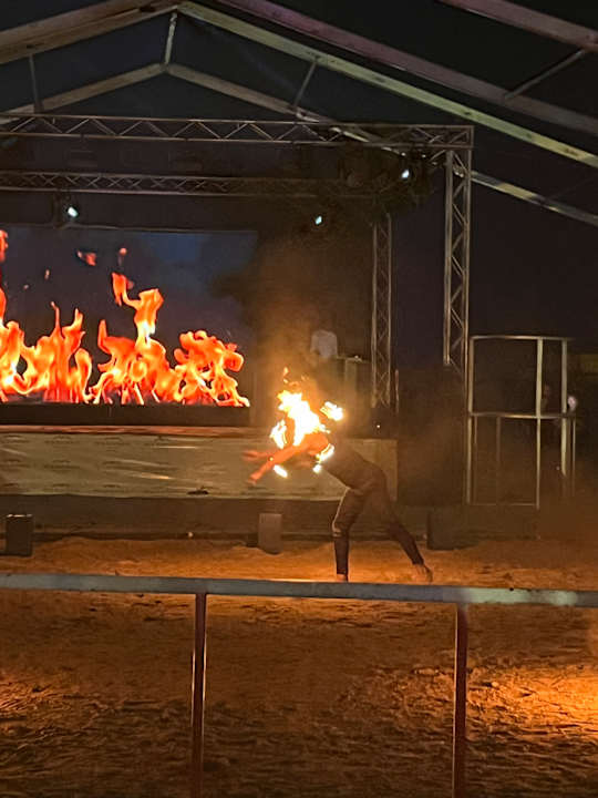 Sonstiges Pickalbatros Palace Hotel-Port Ghalib