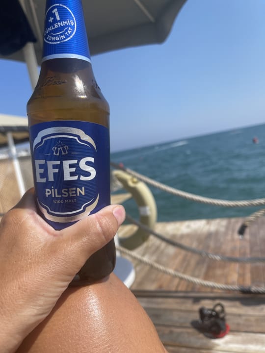 Gastro Royal Seginus