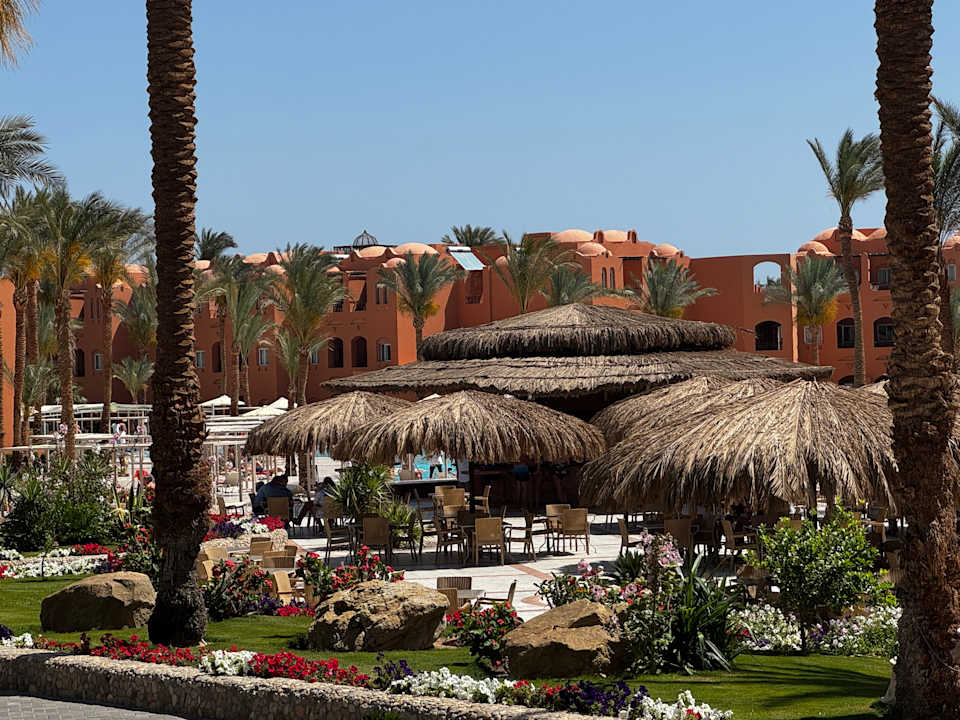 Pool Jaz Makadi Oasis Resort