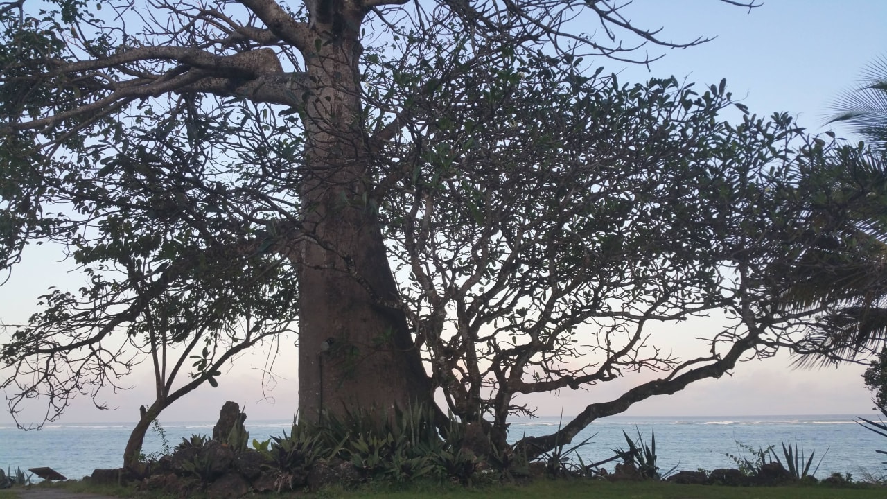 Baobab Diani Beach Hotel Baobab Beach Resort & Spa