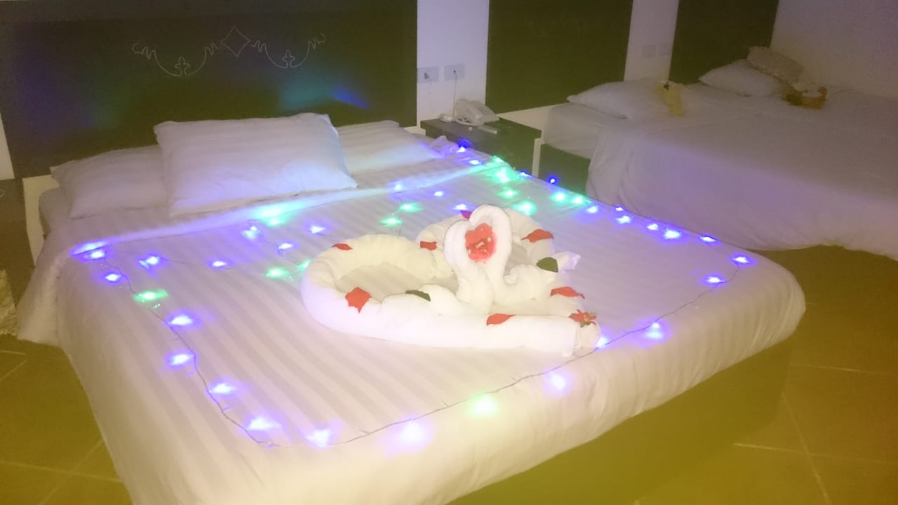 Zimmer Three Corners Sea Beach Resort