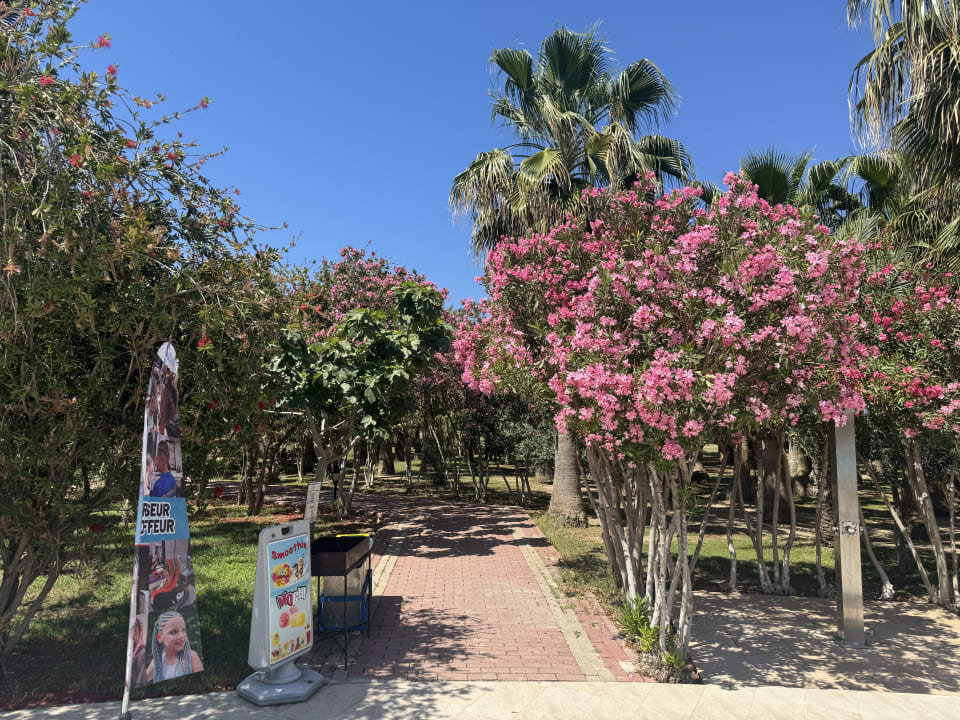 Gartenanlage Seaden Sea World Resort & Spa