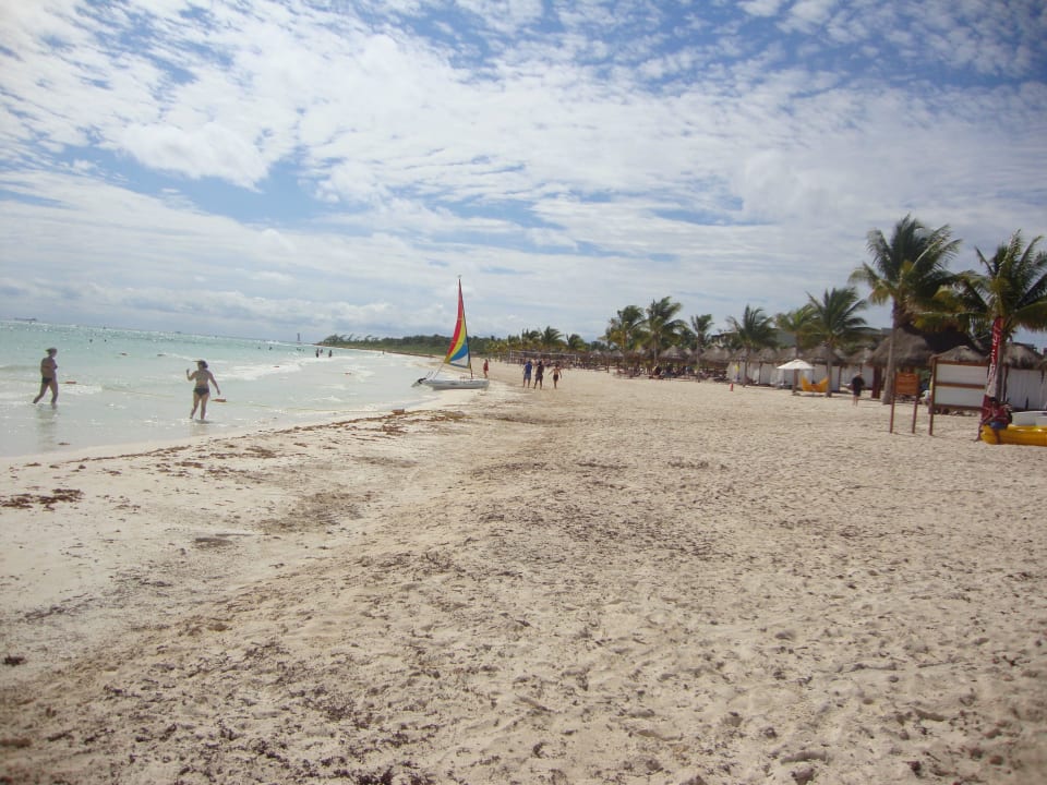 Hotel Catalonia Playa Maroma Catalonia Playa Maroma