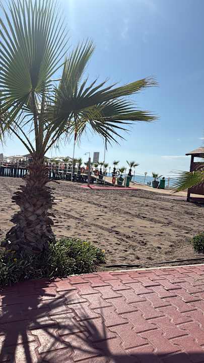 Strand Hotel Delphin Diva