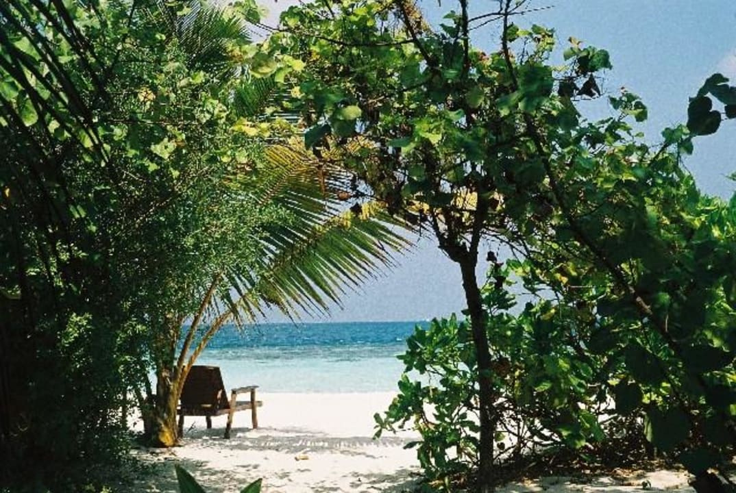 Blick aus Bungalow 125 Eri Maldives