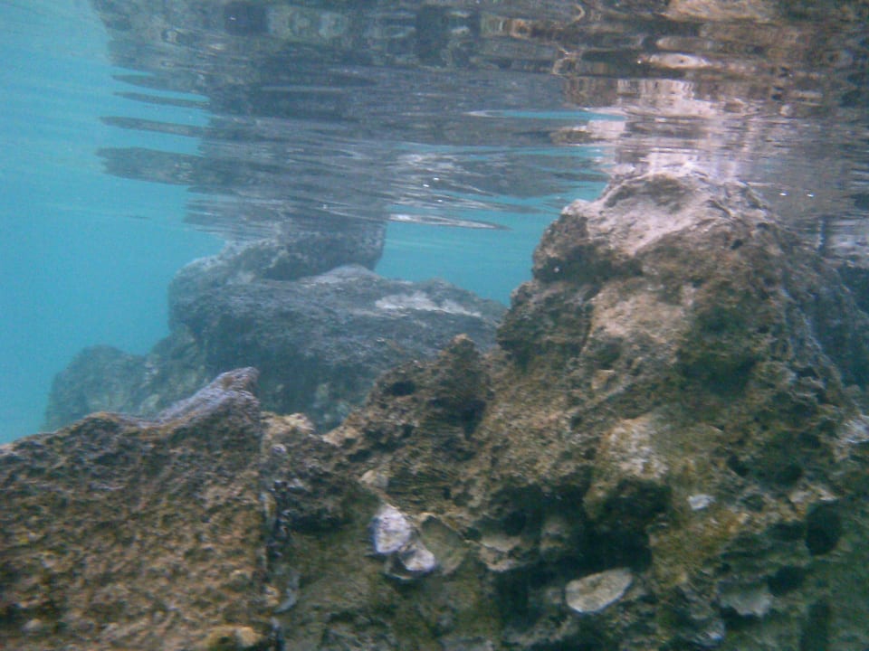 Sport & Freizeit Pickalbatros Citadel Resort