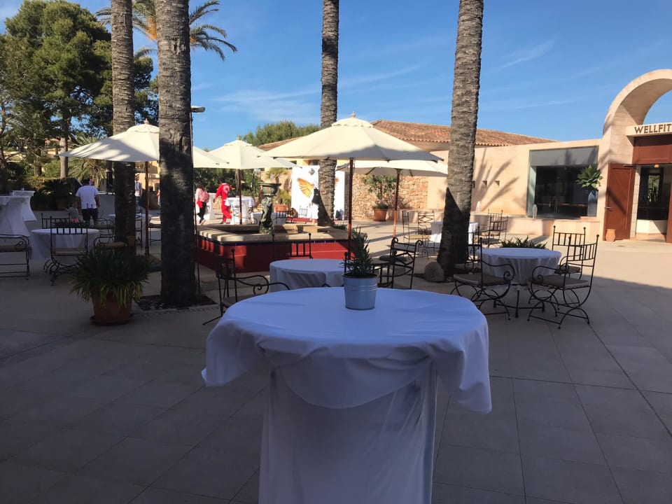 Gastro ROBINSON CALA SERENA