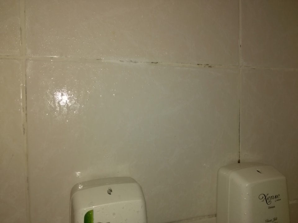 Zimmer Asteria Family Belek