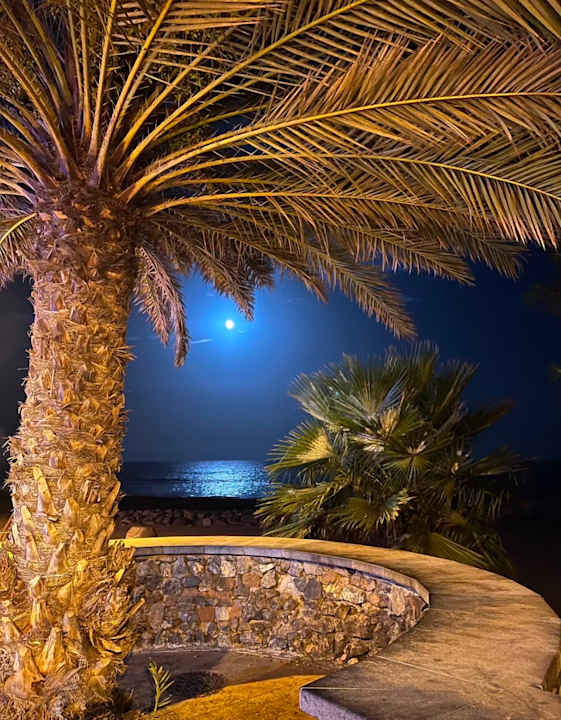 Gartenanlage allsun Hotel Lucana