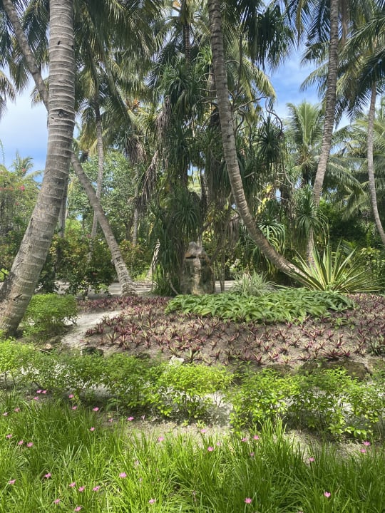 Gartenanlage Adaaran Select Meedhupparu Island Resort - Premium All Inclusive
