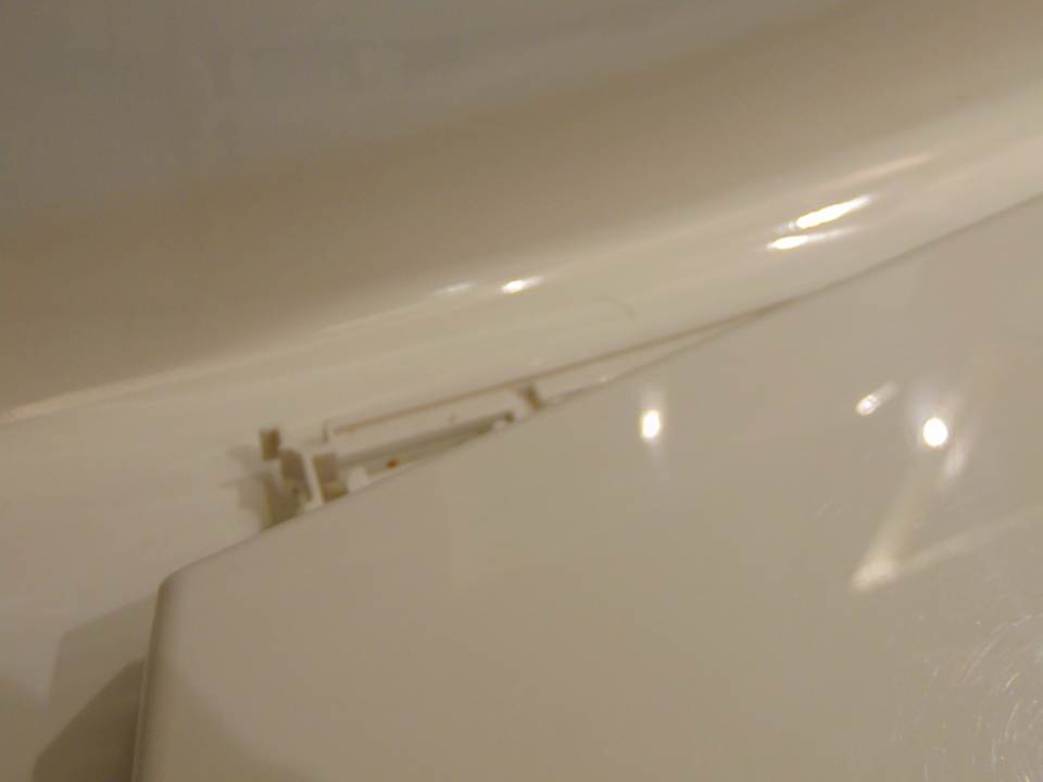 Zimmer Hotel Hyatt Regency Delhi