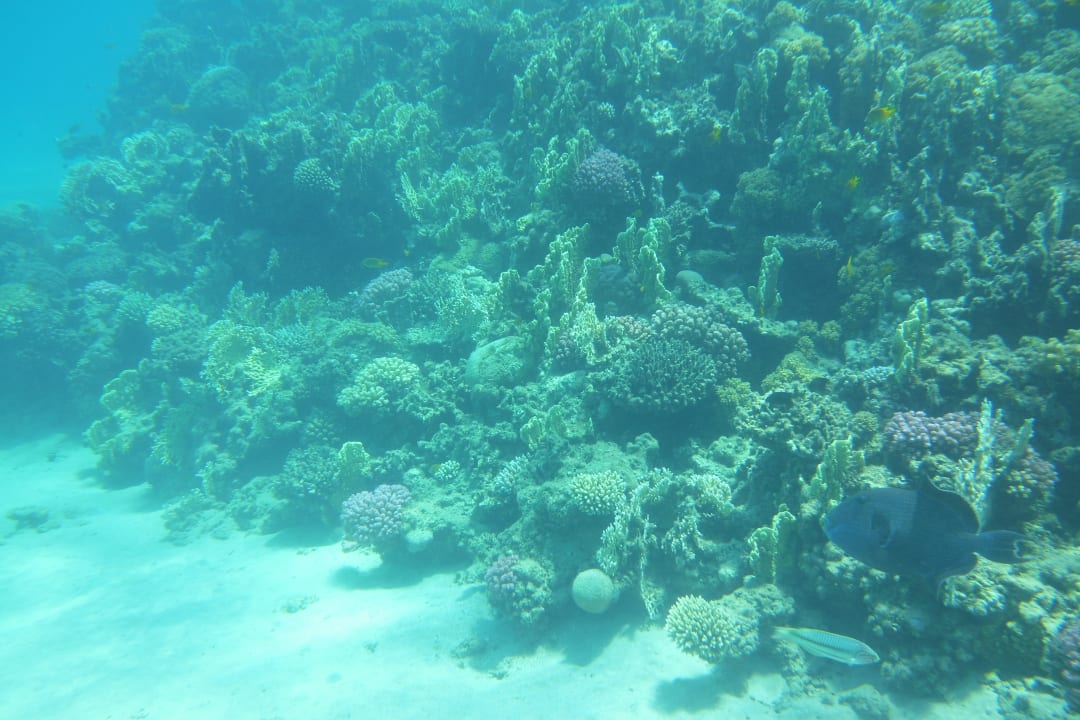 Strand Premier Le Reve Hotel & Spa