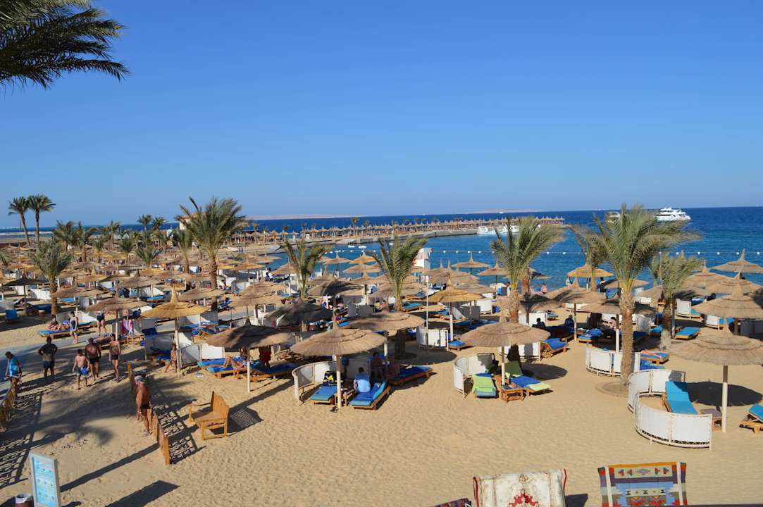 Viele Liegemöglichkeiten Beach Albatros Resort