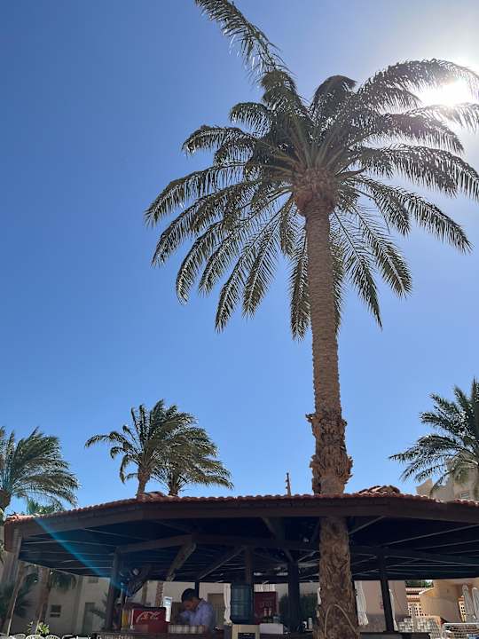 Außenansicht Sea Star Beau Rivage