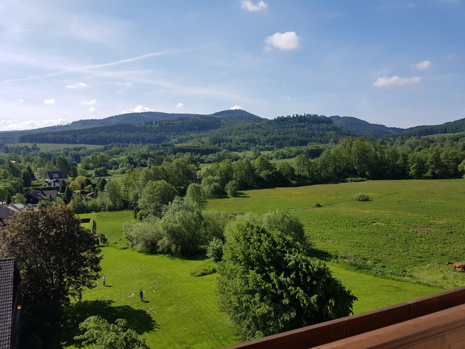 Ausblick Der Wolfshof