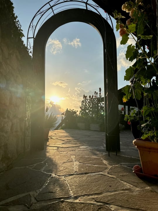 Ausblick Bergwald-Appartements -Alpbach