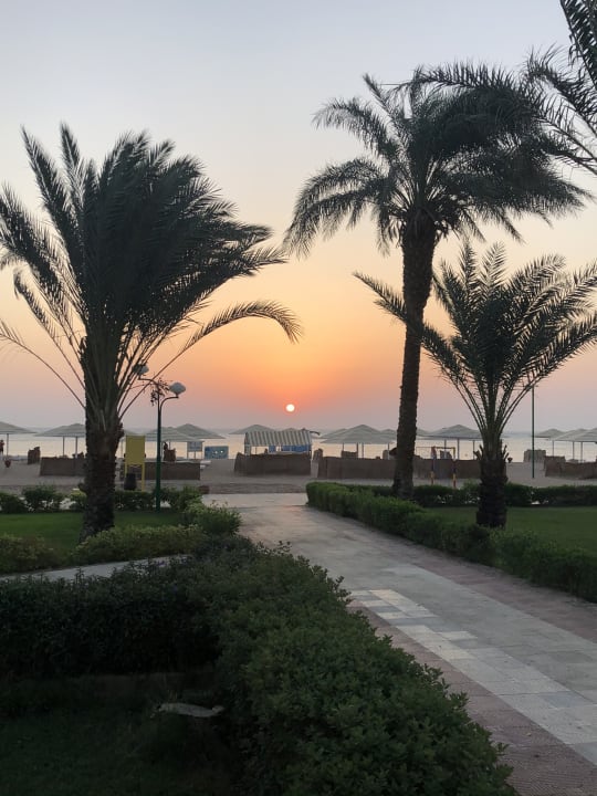 Strand Menaville Safaga