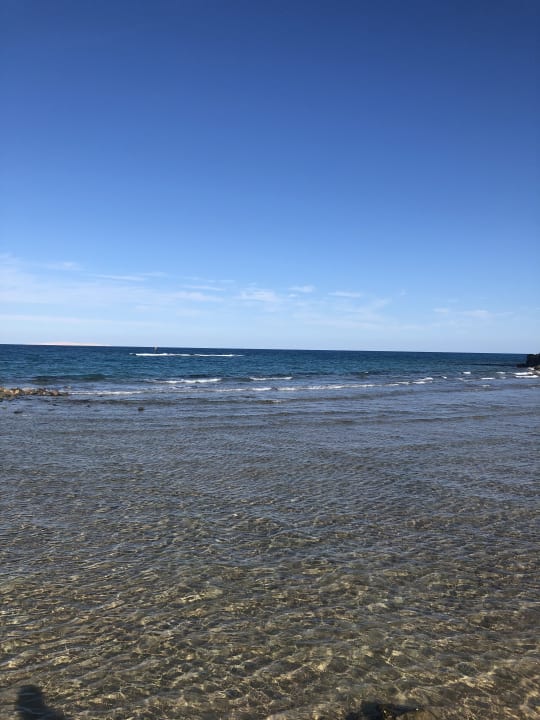 Ausblick Desert Rose