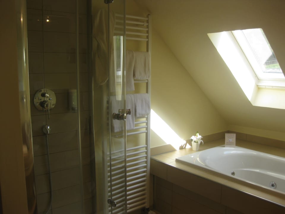 Zimmer 171 BollAnts Spa im Park