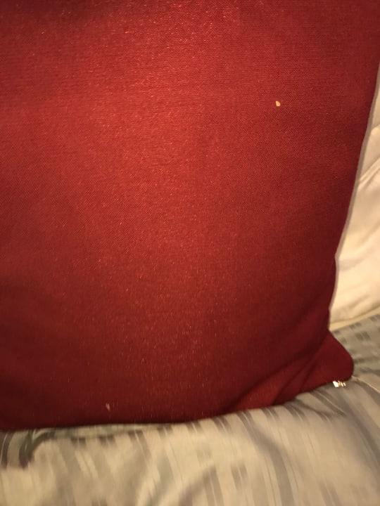 Zimmer Hotel Munich City