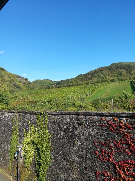 Zimmer Moselstern Hotel Zum guten Onkel