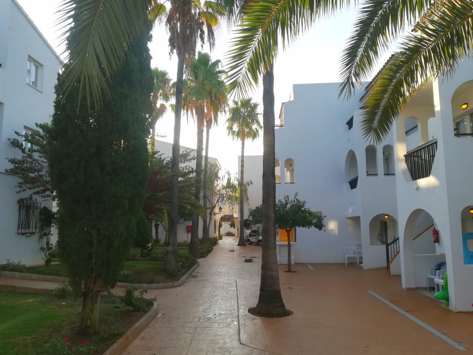 Gartenanlage Globales Bouganvilla