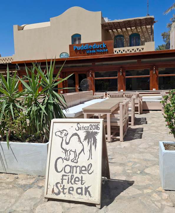 Sonstiges Club Paradisio El Gouna, Red Sea