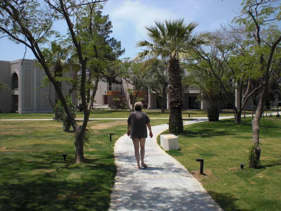 Weg zum Pool Asteria Venus Didim