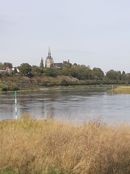 Ausblick AMEDIA Hotel Dresden Elbpromenade
