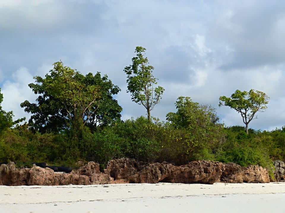 Sonstiges Motiv Hotel Riu Palace Zanzibar