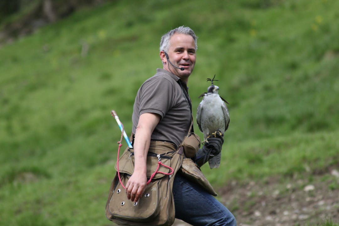 Flugshow  Hotel Panorama