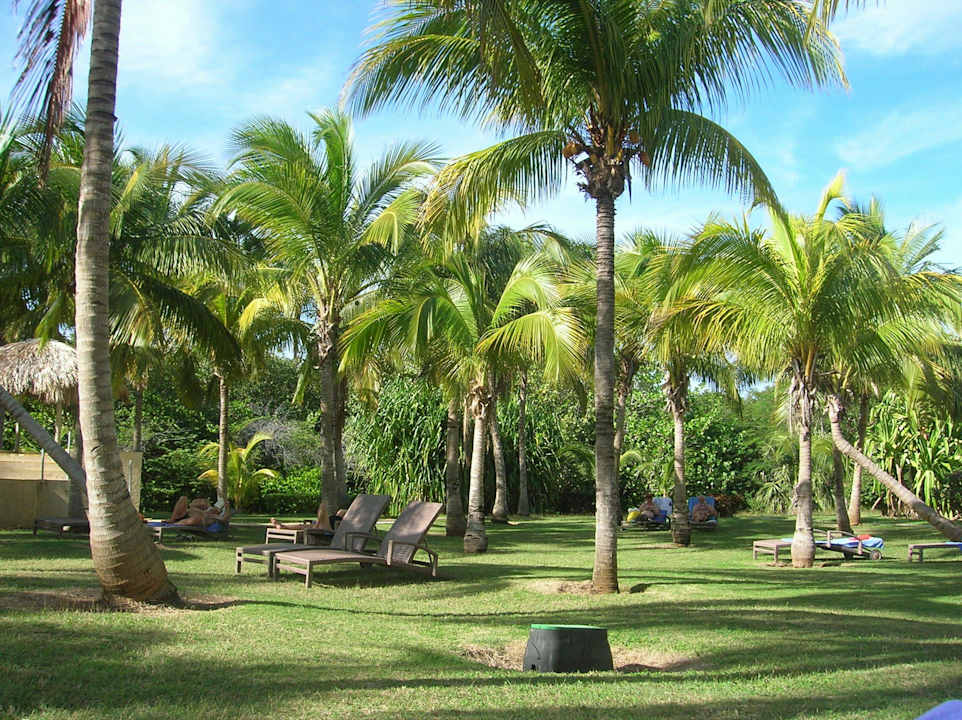 Garten Melia Las Antillas - Adults only