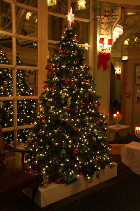 Der Weihnachtsbaum Hotel Wolcott