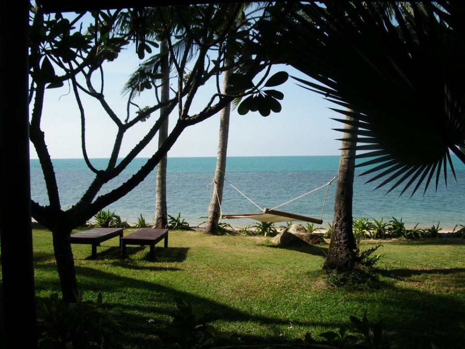 Garten von Haus mit Hängematte Coconut Tropicana T 1