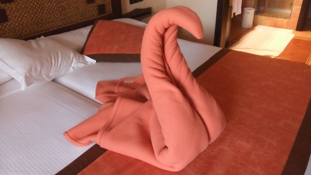 Top Hotel Riu Touareg