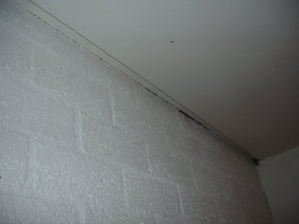 Blick zur decke Hotel de Oorsprong