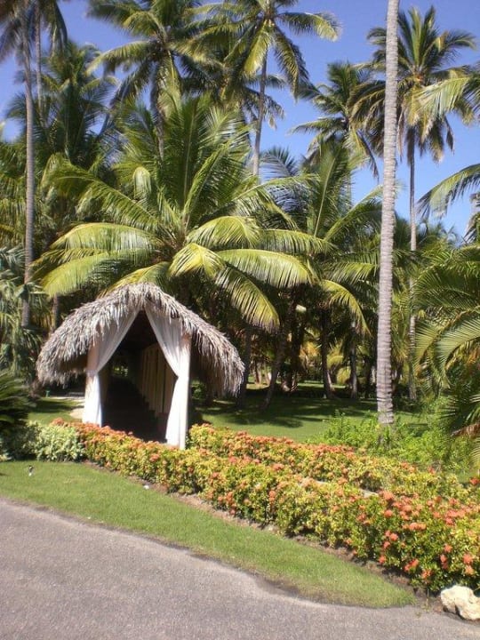 Royal Suites-Bereich Grand Palladium Select Bávaro Resort & Spa