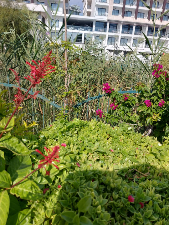 Außenansicht Diamond De Luxe Hotel & Spa