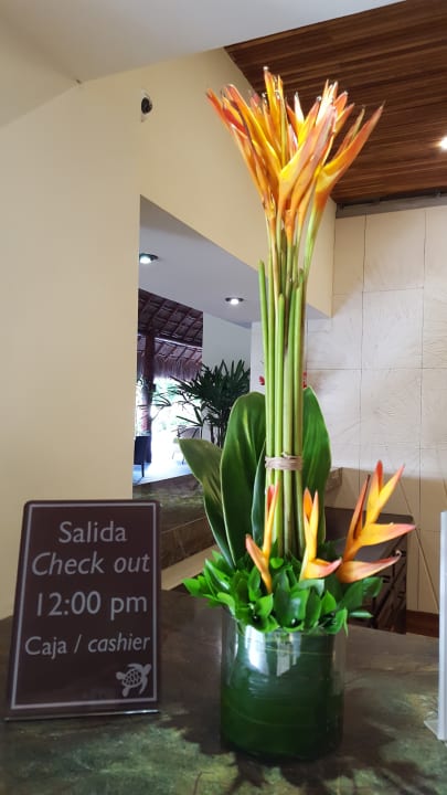 Rezeption Akumal Bay Beach & Wellness Resort