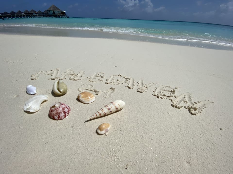 Strand Safari Island Maldives