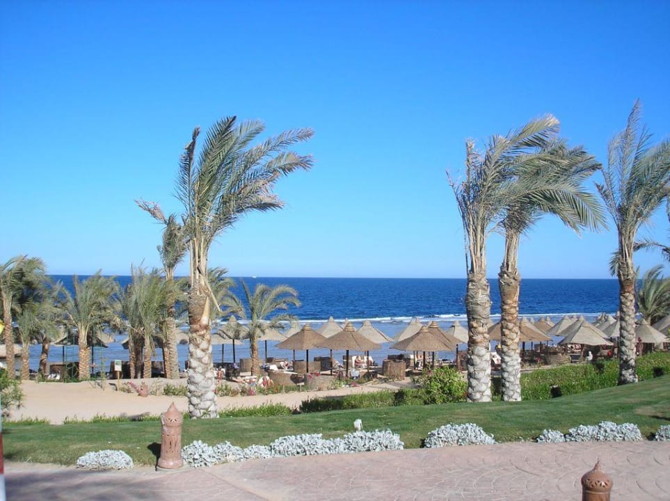 Blick auf das Meer Serenity Alpha Beach