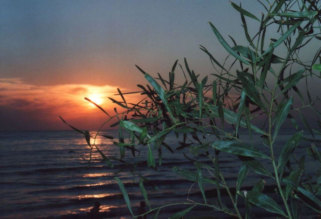 Sonnenuntergang vom Restaurant aus beobachtet Clover Magic Nova Beach