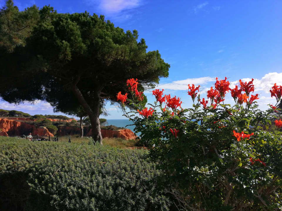 Gartenanlage PortoBay Falésia