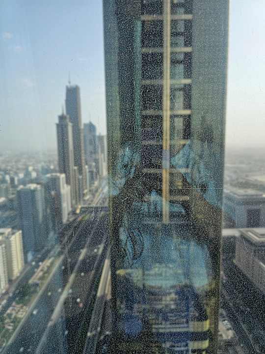 Ausblick Rose Rayhaan by Rotana